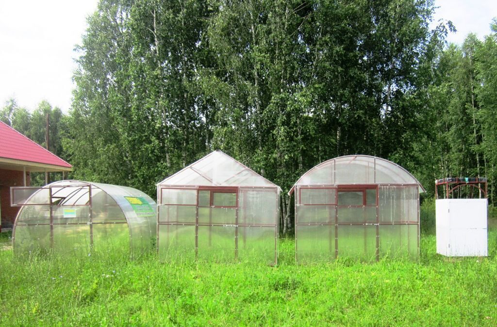 Как сделать парник своими руками